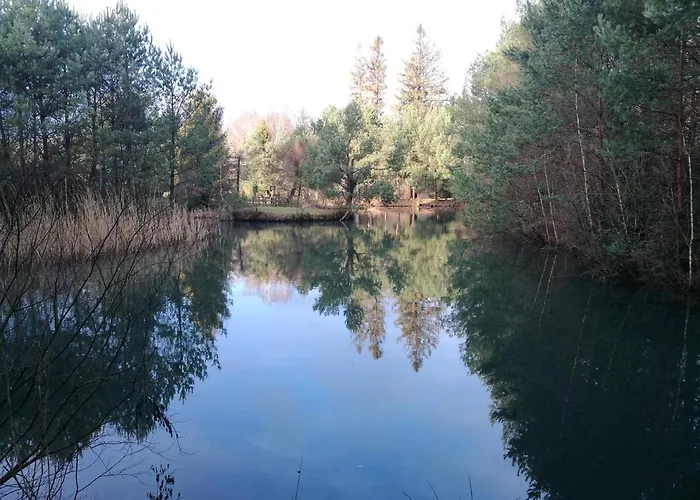 Bajkowy Mlyn 팜스테이 Sianow