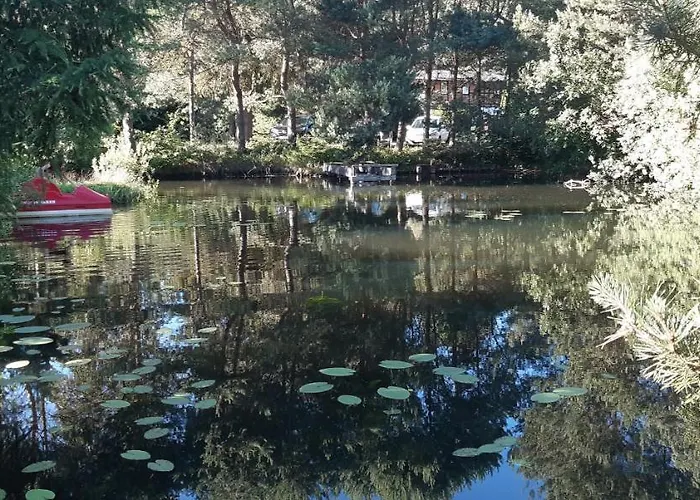 Bajkowy Mlyn * Sianow