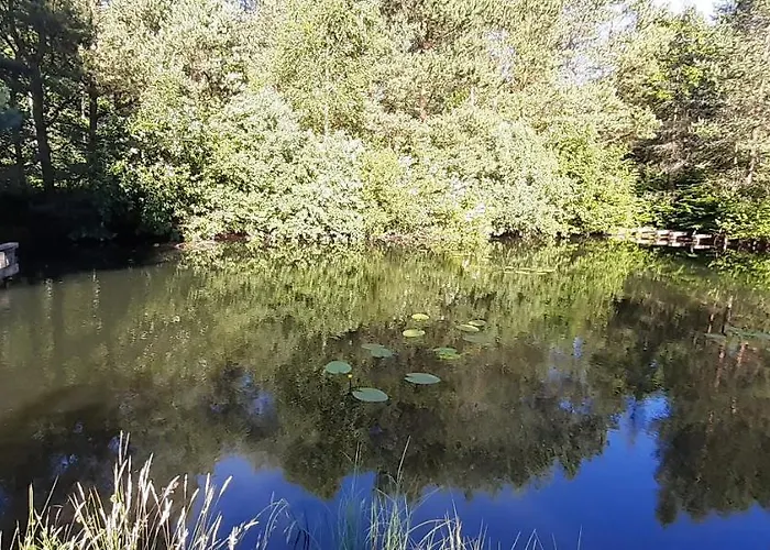 팜스테이 Bajkowy Mlyn Sianow