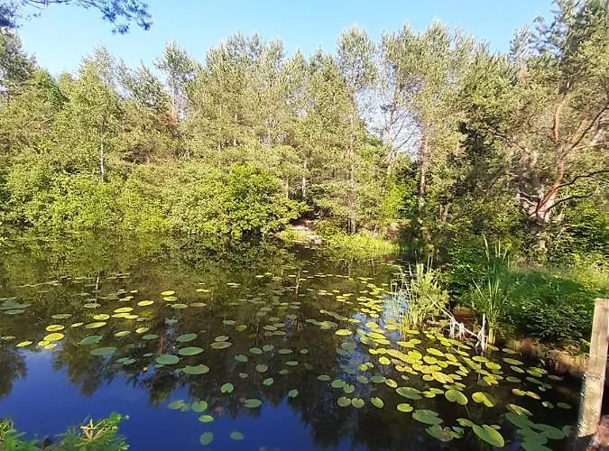 팜스테이 Bajkowy Mlyn *