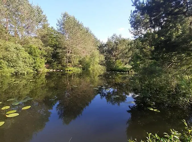 팜스테이 Bajkowy Mlyn